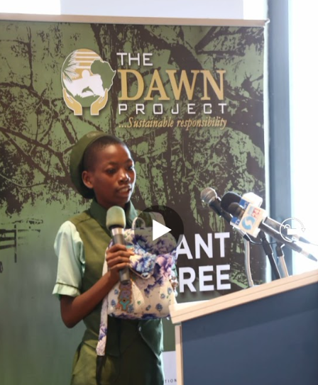 Collins Blessing Sophia